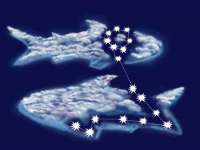 海南青兰雨商贸有限公司