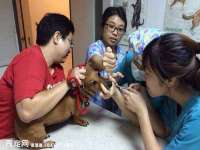 海南青兰雨商贸有限公司