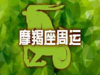 海南青兰雨商贸有限公司