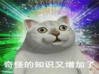 海南青兰雨商贸有限公司