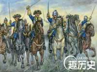 海南青兰雨商贸有限公司