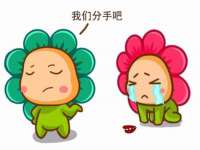海南青兰雨商贸有限公司