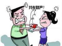 海南青兰雨商贸有限公司