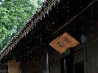 海南青兰雨商贸有限公司