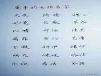 海南青兰雨商贸有限公司