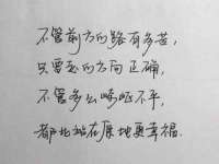 海南青兰雨商贸有限公司