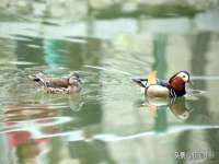 海南青兰雨商贸有限公司